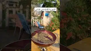#فكرة #تجربة نزع الدسم من القهوه تجدونها في قناتي حياكم #تجارب #الصربي
