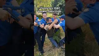 uyuşturucu değil domates fidesi #polis #karakol