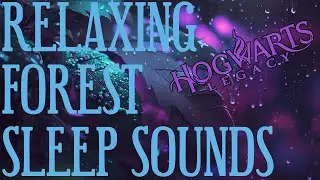 Relaxing #ASMR Forest Sounds from #HogwartsLegacy! | #wizardingworld