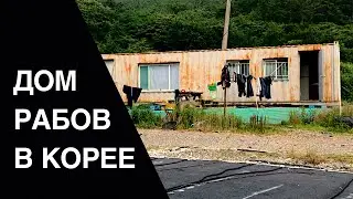 Housing slaves in South Korea. Work in Korea. 2019 Bartender's Day. House from the container.