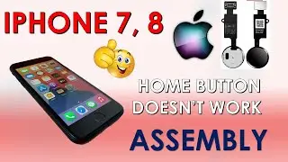 HOME BUTTON DOESN'T WORK ON IPHONE 7,8. WHAT TO DO?