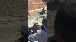 бузкаши эпадром абдуаҳад бо аспи дизел 22 03 23