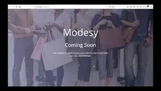 Installing and Configuring Modesy v1.4