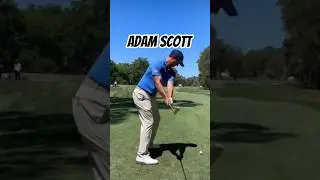 Adam Scott @ Harbour Town 💈