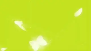 My Business - Full HD Green Screen Butterfly Fly Effects Free