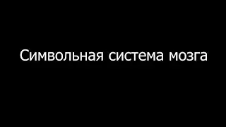 Символьная система мозга