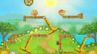 Cover Orange 
