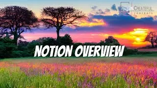 Notion Overview