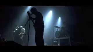 Birds In Row - Live at Amplifest 2022 FDS1