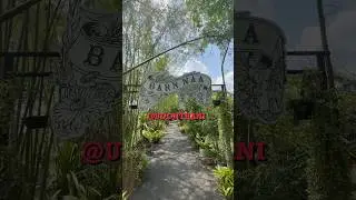 Barn naa cafe Udon Thani | อุดรธานี #thaitravelfriends #udonthani