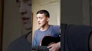 Фогель-Слова кавер на гитаре