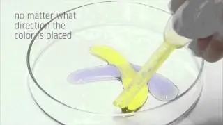 ColorID science video