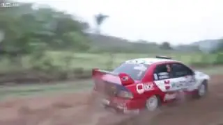 Dog saved in a rally