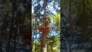 Риск на день рождение