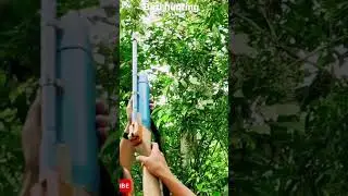 Bird hunting