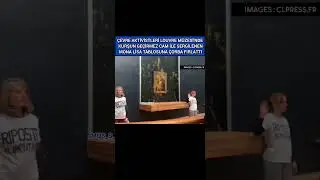 Çevre Aktivistleri Kurşun Geçirmez Cam ile Sergilenen Mona Lisa Tablosuna Çorba Fırlattı