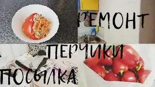 РЕМОНТ/ПОСЫЛКА/ФАРШИРОВАННЫЕ ПЕРЦЫ