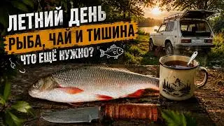 Душевная рыбалка. Июль. 2024 г.