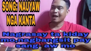 Nauyaw nga kanta-ilocano parody song by Ronald Vlog