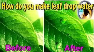 how do you make leaf drop water