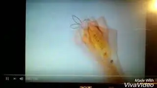 Тест на психику Лунтик ржачные сереи