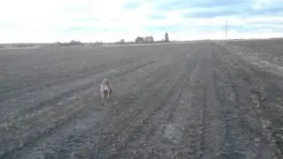 MOV 0901