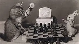 играем в шахматы часть 3