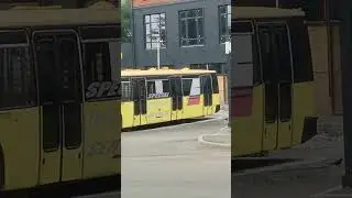 Аэропортский Неоплан