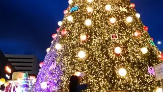 Huge Christmas tree Vivo City