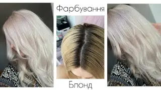 Як пофарбувати волосся в білий колір в домашніх умовах.