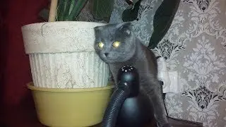 Жеш и Кейт Новости про Фаню!