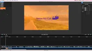 Camtasia for Mac - Freeze Video Frame