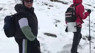По лесам да на Лысую