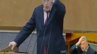 Жириновский о Маркелове