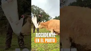 La REALIDAD que NADIE cuenta 