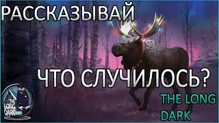 The Long Dark. Атмосферное Прохождение №24. Звери Обезумели!!! Землетрясение, Стаи Волков, Медведи!