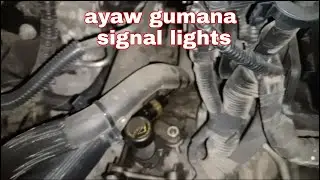 Signal light ayaw gumana