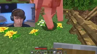 DrDonut Can't Kill an Iron Golem