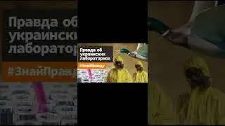 Саранча наложила на головы российским СМИ 