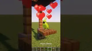 Minecraft Parrot Cage 🦜 #shorts