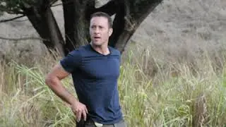 Hawaii 5-0 Steve mcgarett