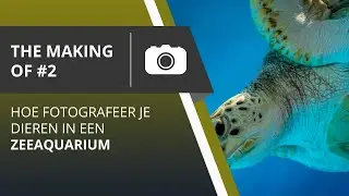 Hoe fotografeer je dieren in een zeeaquarium the making of #2