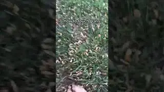 how to touch grass #funny #meme #trending #viral