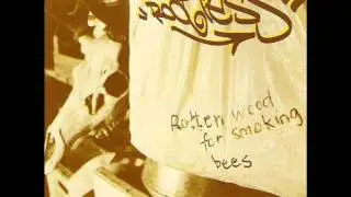 Rootless : Inteference / Kind of Blues