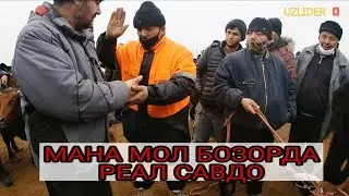 ХОРАЗМ МОЛ БОЗОР НАРХЛАРИ 2-КИСМ  20 -yanvar 2020
