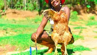 A LADY SLAUGHTERING CHIKEN FOR FOOD