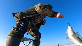 ЗИМНЯЯ РЫБАЛКА на СУДАКА .РАЗДАЧА СУДАКА. Водохранилище Капчагай.