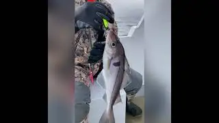 Поймал 