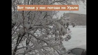 Вот вам и Март месяц / Пожарила лепёшки 14 марта 2023