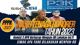 Nasib Tenaga Honorer di Tahun 2023 Dipertanyakan, Komisi II DPR Berharap Menpan RB Lakukan Ini !!!